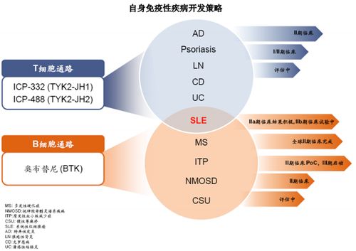 直擊業(yè)績說明會(huì) 摘 b 之后 現(xiàn)金玩家 諾誠健華想要成為生物制藥公司
